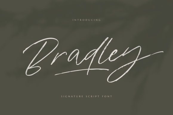 Bradley: A Handwritten Font for Modern Web Design