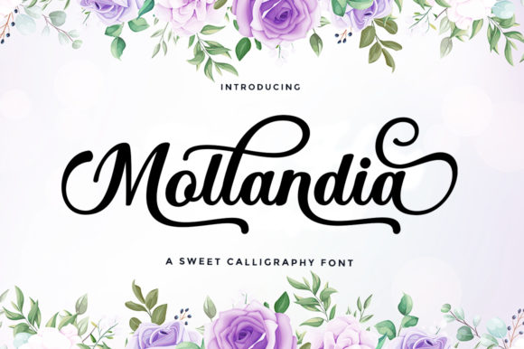 How Mollandia Transformed Our Bakery Packaging into a Visual Delight